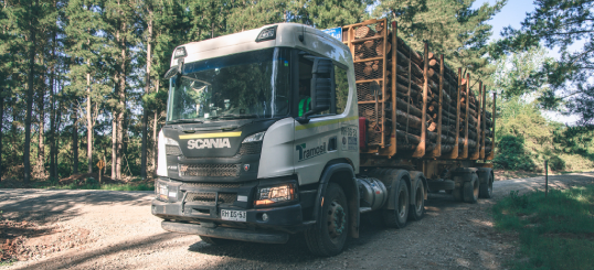 Accidentabilidad en verde: Programa avanzado en prevención de accidentes en el sector forestal 