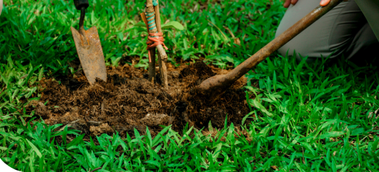 Prevención de riesgos uso de herramientas de mano en labores agrícolas