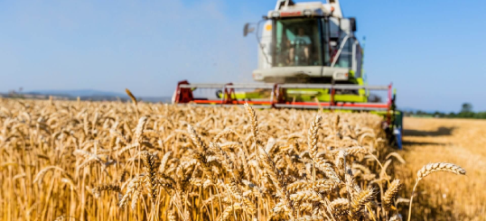 Cosecha prevención: Programa avanzado en prevención de accidentes en el sector agrícola y ganadero 