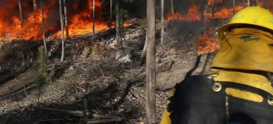 Gestión del riesgo de desastres en centros de trabajo - Incendios forestales