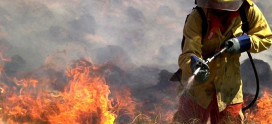 Prevención y respuesta ante incendios forestales en centros de trabajo
