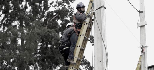 Trabajo en altura: escalas y techumbres