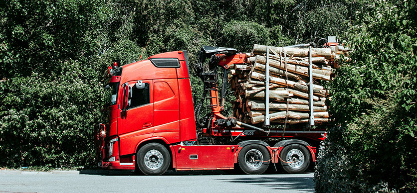 Prácticas seguras en la conducción de un vehículo de transporte forestal