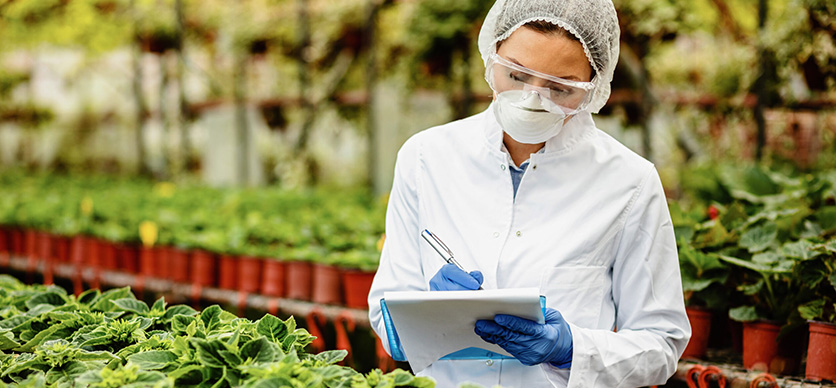 El negocio agroindustrial; una mirada ACHS de seguridad y salud en el trabajo en el sector