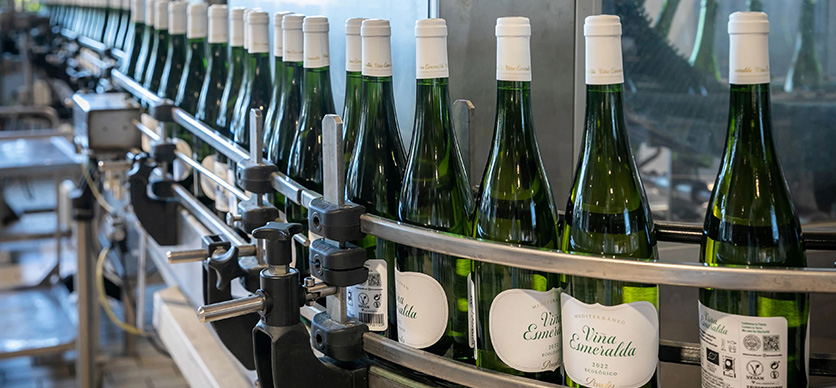 Prevención de riesgos en bodegas de vinificación y plantas de embotellado