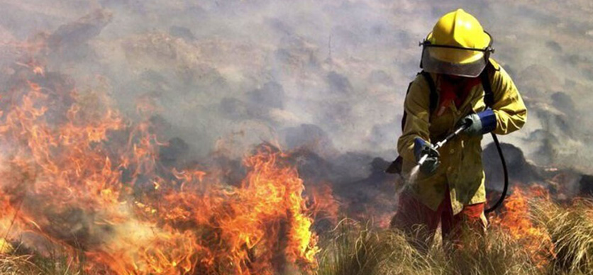 Prevención y respuesta ante incendios forestales en centros de trabajo