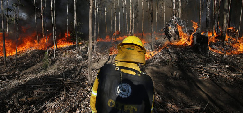 Gestión del riesgo de desastres en centros de trabajo - Incendios forestales