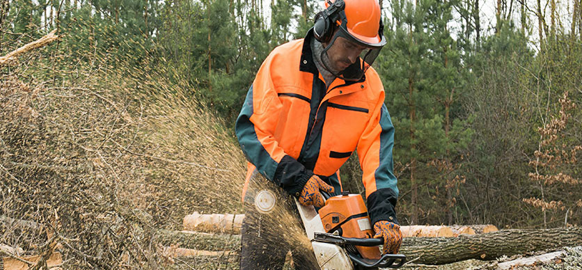 Accidentabilidad en verde: Programa avanzado en prevención de accidentes en el sector forestal