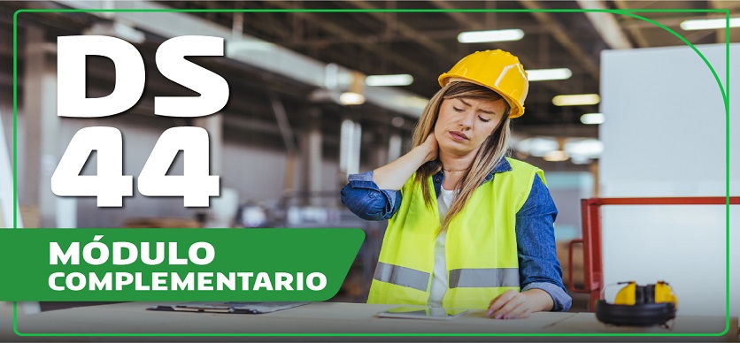 Riesgos ergonómicos - módulo complementario de acuerdo al ds° 44 para personas trabajadoras
